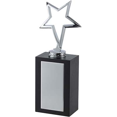 9in Silver Outline Star Award