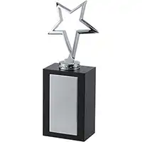9in Silver Outline Star Award
