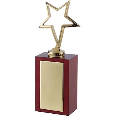 9in Gold Outline Star Award
