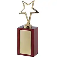 9in Gold Outline Star Award