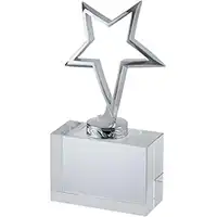 6.75in Silver Outline Star Glass Award