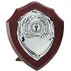 4in Triumph Single Silver Shield