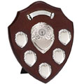 8in Triumph Annual 5 Silver Shield