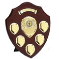 8in Triumph Annual 5 Gold Shield