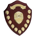 14in Triumph Annual 11 Gold Shield