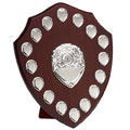 14in Triumph Annual 16 Silver Shield