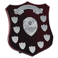 12in Champion Annual 9 Silver Shield