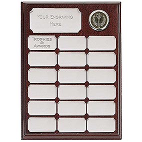 Ashfield Silver Economy Plaque 9in