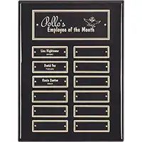 12in x 9in Black Gloss Perpetual Plaque - 12 Plates
