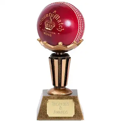 Cricket Ball Display Stand