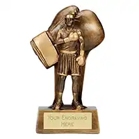 16cm Soul Boxing Male Award
