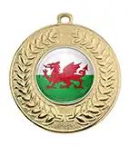 Wales Gold Medal 50mm