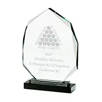 CLARITY OPTICAL CRYSTAL AWARD 230MM