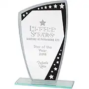 Cosmic Mirror Award 190mm *