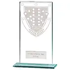 160mm Millenium Glass Dominoes Award