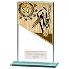 140mm Mustang Glass Cricket Award