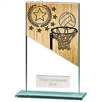 140mm Mustang Glass Netball Award