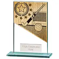 125mm Mustang Glass Hockey Award