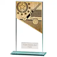 160mm Mustang Glass Hockey Award
