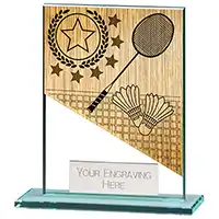 110mm Mustang Glass Badminton Award