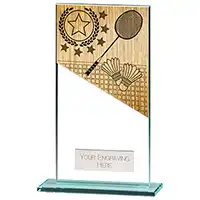 160mm Mustang Glass Badminton Award