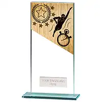 180mm Mustang Glass Swimming Award