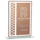 Titanium Bronze Mirror Award 160mm