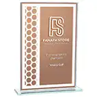 Titanium Bronze Mirror Award 180mm