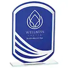 Argon Blue Mirror Award 160mm