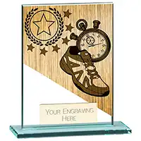 110mm Mustang Glass Running Award