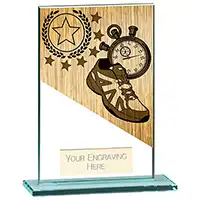 125mm Mustang Glass Running Award