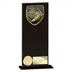 Cobra  Hero Black Glass Running Award 200mm
