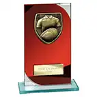 Seismic Red Glass Rugby Award 170mm