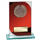Seismic Red Mirror Multisport Award 150mm