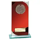 Seismic Red Mirror Multisport Award 190mm