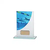 Swimming Colour Curve Jade Crystal Award 160mm