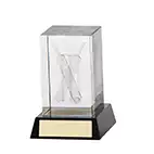 90mm Conquest Crystal Cricket Award