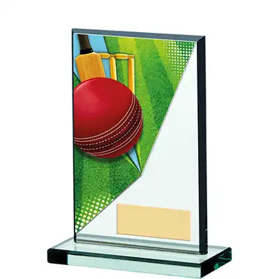 13cm Glass Cricket Award