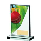 13cm Glass Cricket Award