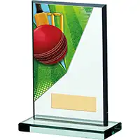 15cm Glass Cricket Award
