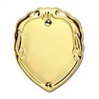 Engraved Gold Shield 45mm