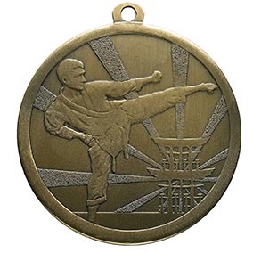 Bronze Martial Arts Medal 70mm