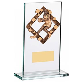 170mm Glass Netball Award