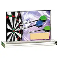 Printed Glass Darts Award 90mm