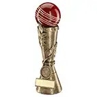 3D Cricket Ball Trophy 229mm