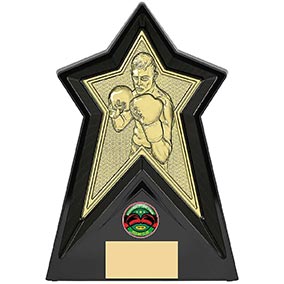 Starforce Gold  Boxing Award 20cm