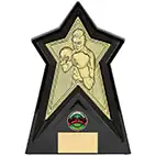Starforce Gold  Boxing Award 20cm
