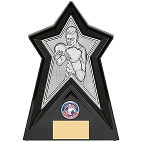 Starforce Silver Boxing Award 20cm