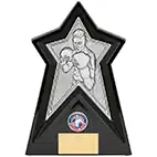 Starforce Silver Boxing Award 20cm