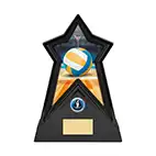 Starforce Netball Award 22cm